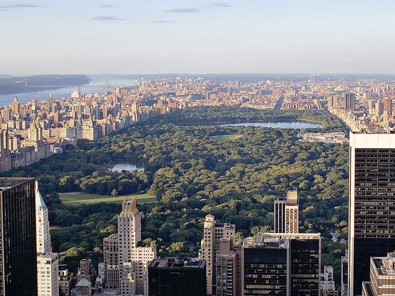 Central Park de Nueva York